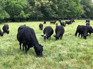 Joel's Farm LLC