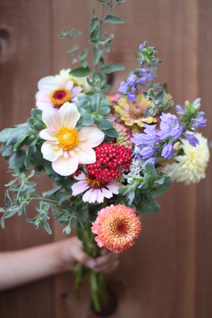 Reverie Flowers