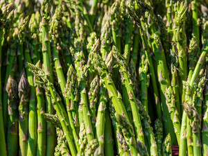 Division Street Farmers Market