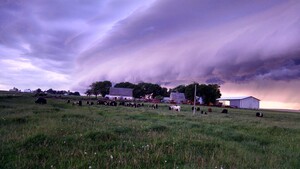 360 Heritage Farms