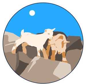 Stone City Farm