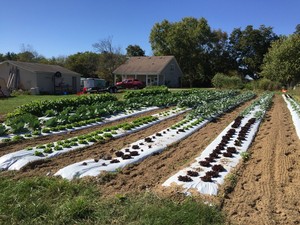 Hill Family Farm