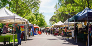 Always Fun Markets