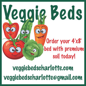 Veggie Beds Charlotte