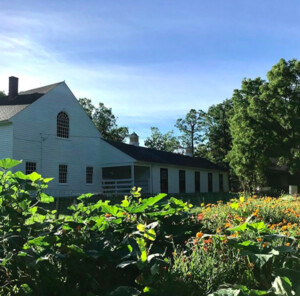Fallbrook Farms