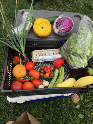 Kits Garden, LLC