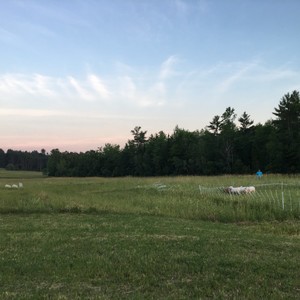 Good Land Farm