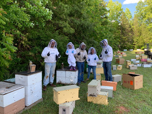 Honey Strong