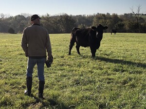 Whippoorwill Creek Farm
