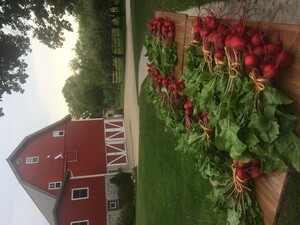 Pheasant Run Farm, LLC