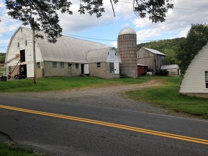 Mountain Ash Farm