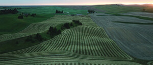 Twin Calves Ranch