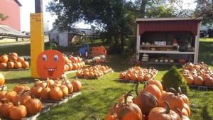 Bahner Family Farm
