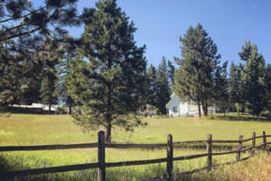 Cougar Meadows Farm