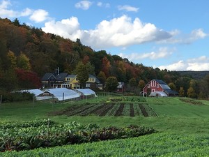 Sunrise Farm CSA