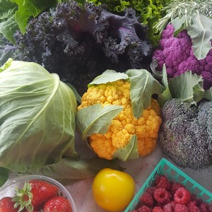 Barefoot Farm & Flowers