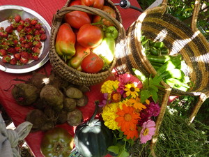 Beautiful Food