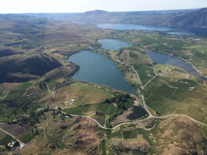 Wildnow Farm & Chelan Valley Botanicals