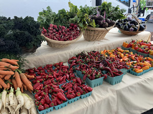 Folks Farm