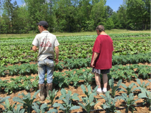 Red's Quality Acre