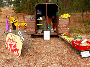 J. Ahmann Farm (The Wild Ginger)