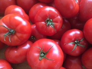 The Veg Yard