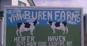 New York Farming Enterprises