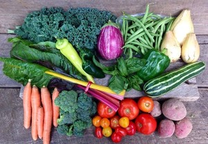 Wild Woods Farm