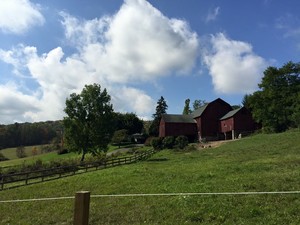 Bear Hollow Farm, LLC