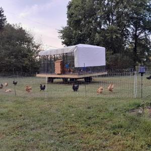 Growing By Faith Farm