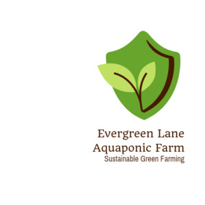 Evergreen Lane Farm