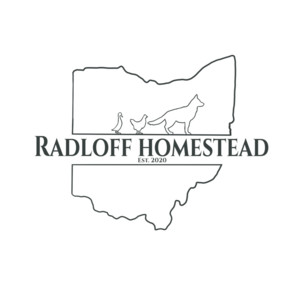 The Radloff Homestead