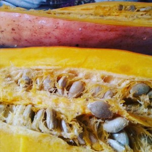 Candy Roaster Squash