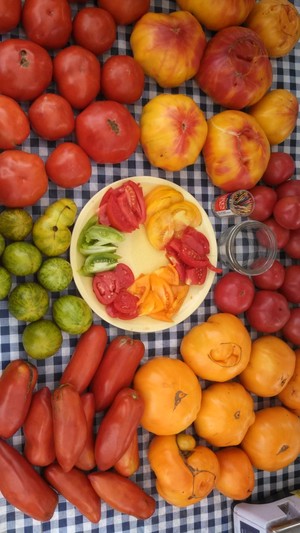 Second Wind CSA in Garrison
