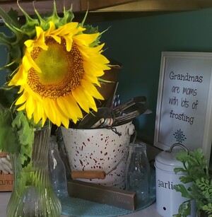 Sycamore Springs Farm on Springboro
