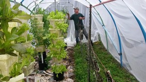 Homestead Basket