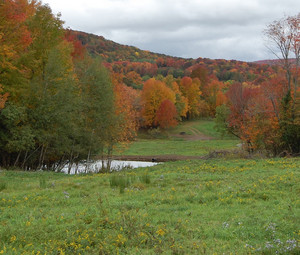Hidden Hill Ranch