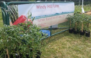 Windy Hill Farm of Cuba