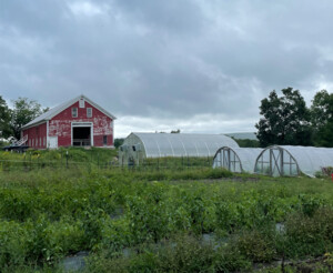 Dismas Family Farm