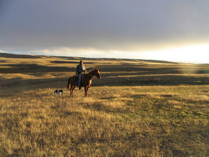 A Land of Grass
