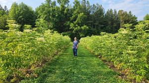 Rahl Farms