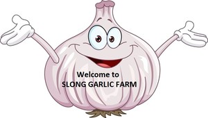 Slong Garlic Farm