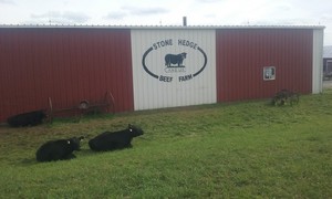 Stone Hedge Beef