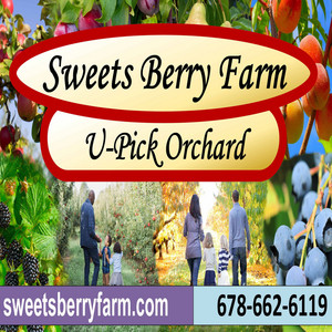 Sweets Berry Farm (pick your own fruits and berries)