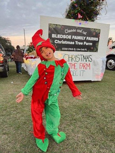 Bledsoe Family Farms Christmas Trees