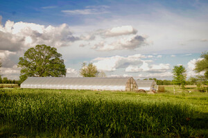 Boulder Belt Eco-Farm