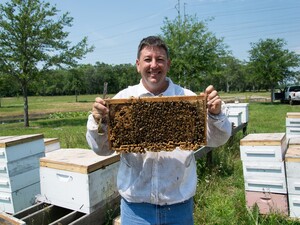 Bee Friends Farm