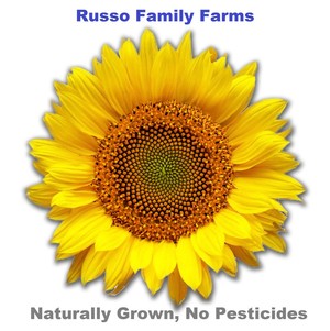 Russo Family Farms