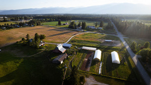 Homestead Produce