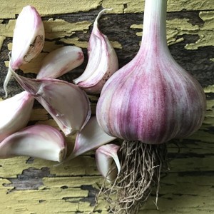 Pop Pop's Garlic